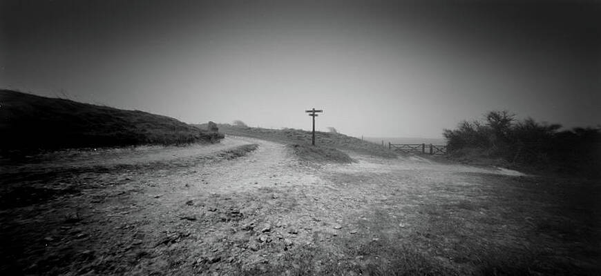 Photograph - Which Path? by Will Gudgeon