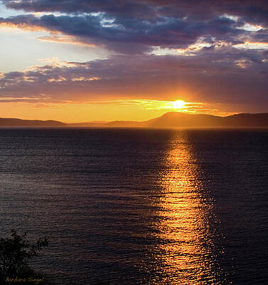 Sunset Photograph - Whidbey Sunset by Barbara Siegel