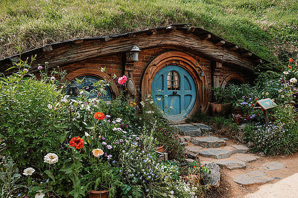 Vibrant Wall Art featuring the photograph Whimsical by Nova Rae