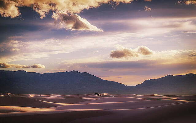 Serene Desert Landscape at Sunset Wall Art