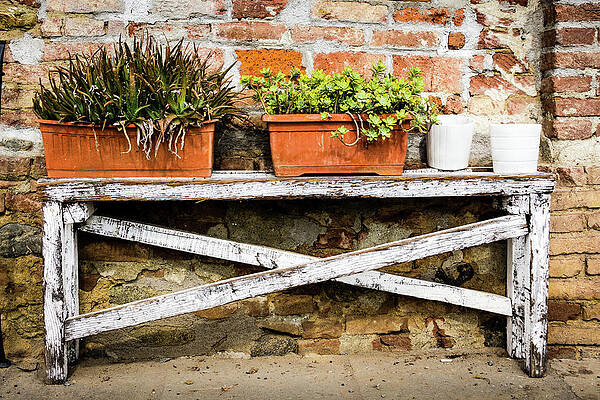 Photograph - White Bench With Planters by Craig A Walker