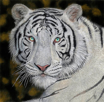 Majestic Painting - White Bengal Tiger by Mark Ray