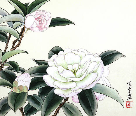 Garden Painting - White Camellias by Ren Yu