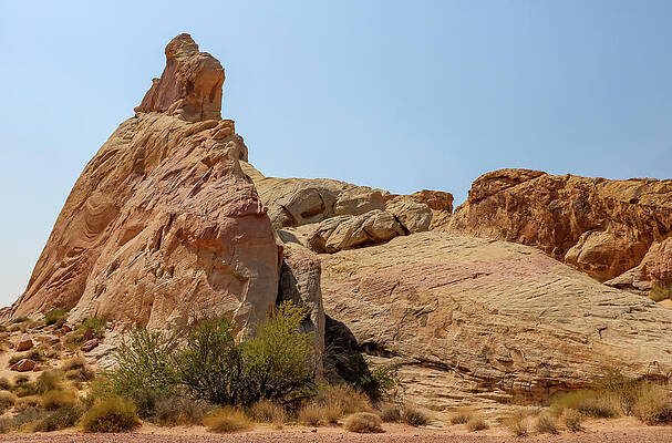 Desert Wall Art featuring the photograph White Domes by Dawn Richards