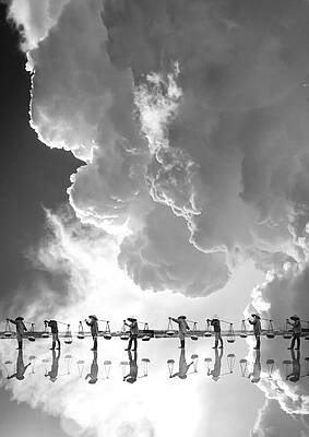 Photograph - White Gold I by Sofie Conte