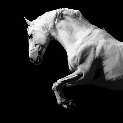 Wall Art featuring the photograph White Horse Black And White by Printed View