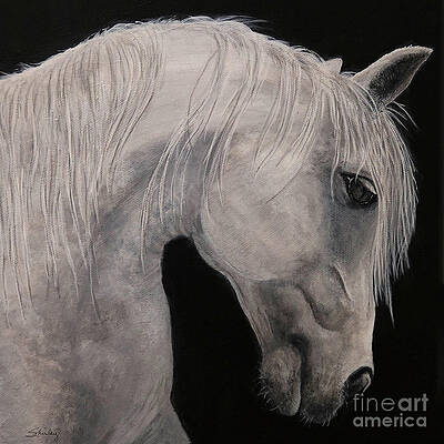 Painting - White Horse Painting by Shirley Dutchkowski