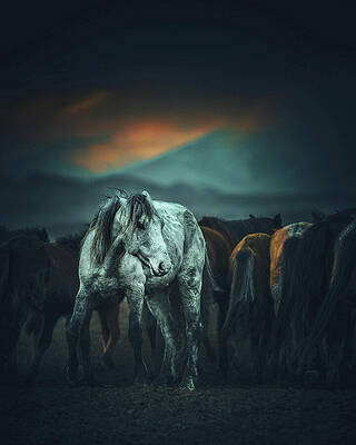 Mountain Photograph - White Horse Winter Scene by Printed View