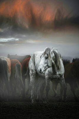 Sky Wall Art featuring the photograph White Horse Winter Scene 2 by Printed View
