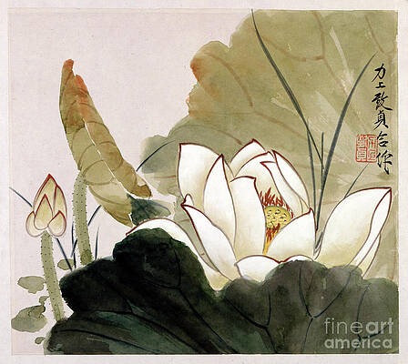 Wall Art featuring the painting White Lotus Flower by Yu Zhizhen