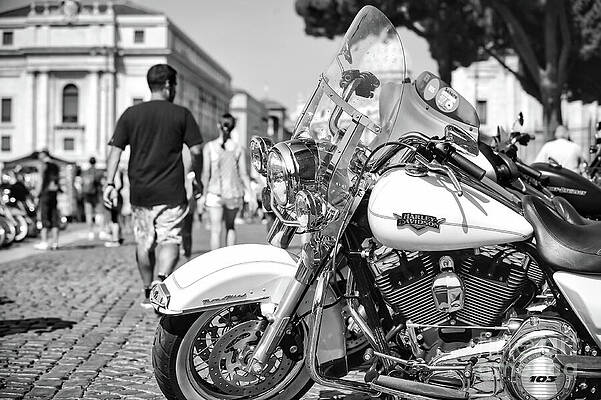 Transportation Wall Art featuring the photograph White Motorcycle Parked On A Cobblestone Street by Stefano Senise