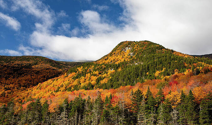Wall Art featuring the photograph White Mountains Fall Landscape by Dan Sproul