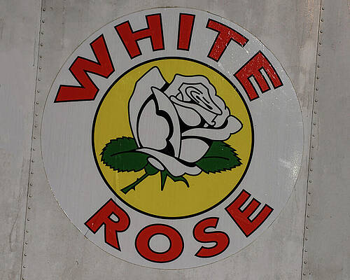 Wall Art featuring the photograph White Rose Gasoline Sign by Flees Photos