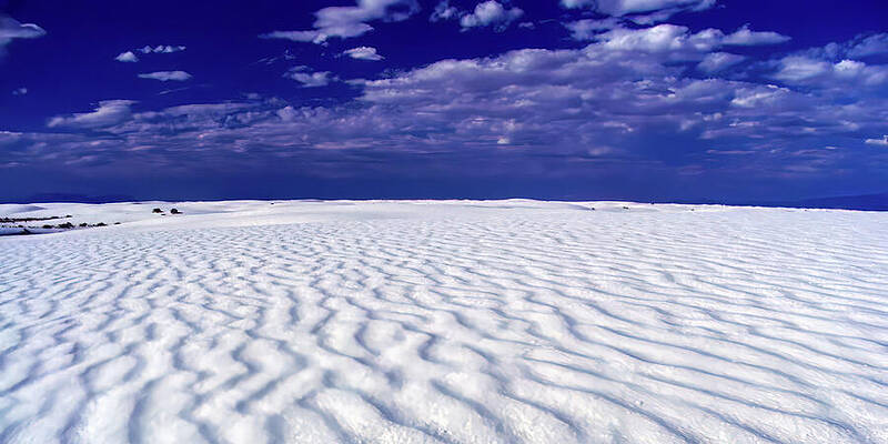 Desert Photograph - White Sand Naational Monument New Mexico by Tommy Farnsworth