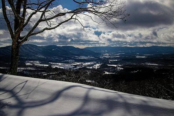 Wall Art featuring the photograph White Shadows by Deb Beausoleil