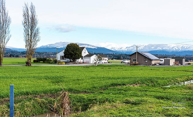 Farm Photograph - White Skagit Farm House With Green Fields by Tom Cochran