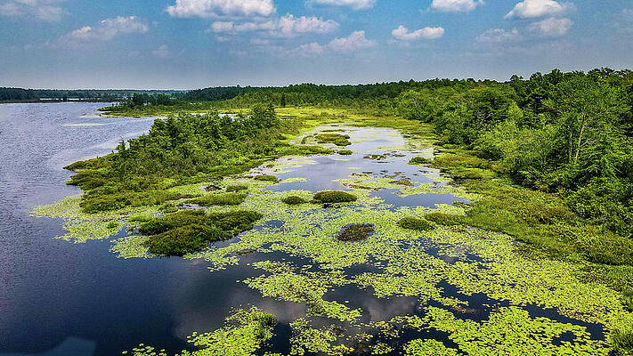 Sky Wall Art featuring the photograph Whitesbog Summer Landscape by Louis Dallara