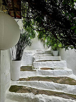 Serene Stone Stairway with Greenery Wall Art