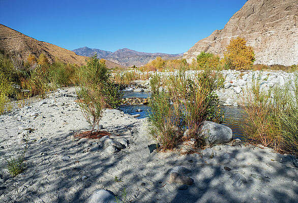 Whitewater River by Joe Schofield