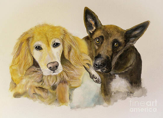 Painting - Who Rescued Who? by Shirley Dutchkowski