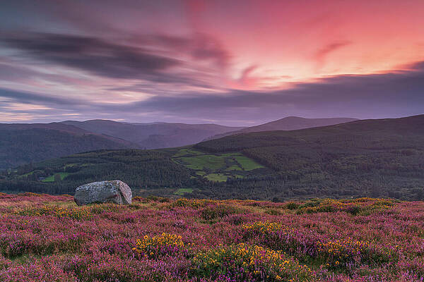 Sunset Photograph - Wicklow Mountains Sunset From Paddock Hill by Adrian Hendroff