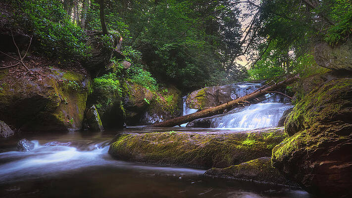 Water Wall Art featuring the photograph Wild Creek Falls River Side by Jason Fink