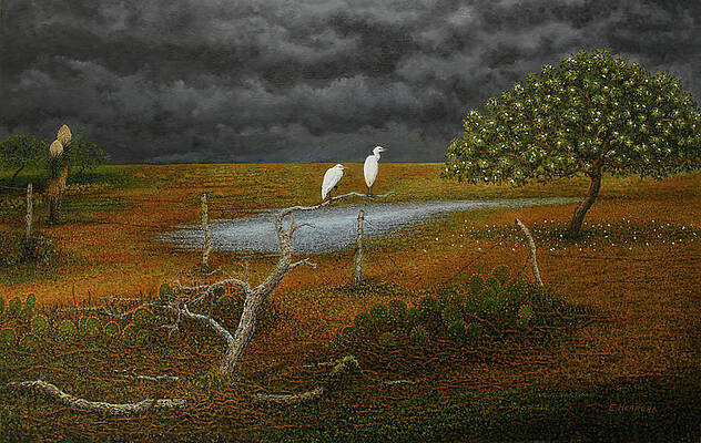 Wild Olive Tree by Eleazar Herrera
