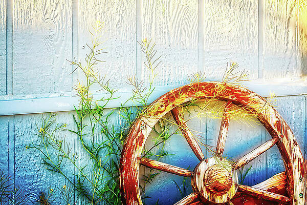 Wall Art featuring the photograph Wild West Yard Decor by Tatiana Travelways