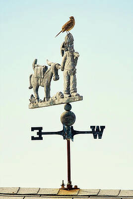 Arizona Photograph - Wild West Weather Vane by Tatiana Travelways