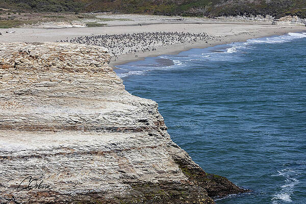 Ocean Photograph - Wilder Ranch Cliffs III by Charlie Osborn