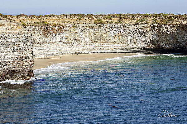 Nature Wall Art featuring the photograph Wilder Ranch Cliffs IV by Charlie Osborn