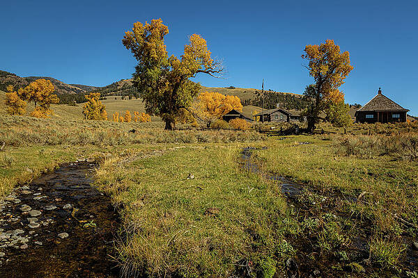 National Parks Wall Art featuring the photograph Wilderness Oasis by Tim Lyden