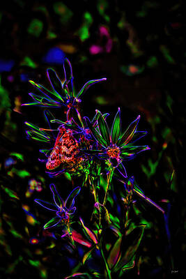 Butterfly Photograph - Wildflower And Butterfly by Bruce Block