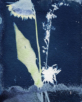 Photograph - Wildflower Arrangement by Elizabeth Reich