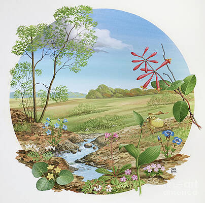 Tree Painting - Wildflowers II by Chuck Ripper