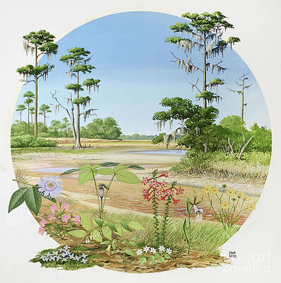 Tree Painting - Wildflowers III by Chuck Ripper