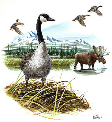 Wildlife Of Wilderness Print