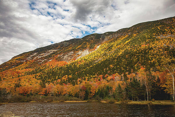 Wall Art featuring the photograph Willey Pond In Autumn by Dan Sproul