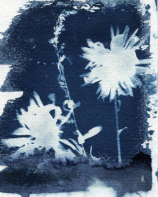 Photograph - Wind And Root, Dandelions And Smartweed by Elizabeth Reich