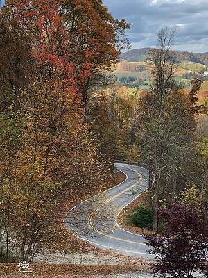 Winding Autumn Road by Meta Gatschenberger