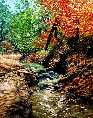 Winding Creek by Ashley Koebrick Schmidt