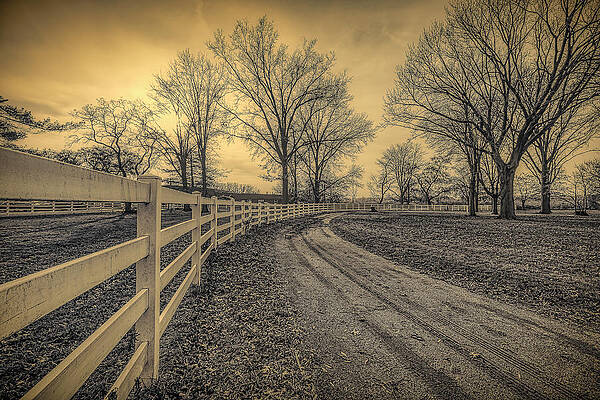 Wall Art featuring the photograph Winding Road by Penny Polakoff