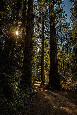 California Wall Art featuring the photograph Winding Through History by Tim Lyden