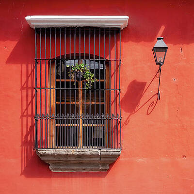 Wall Art featuring the photograph Window In Antigua, Guatemala by Tatiana Travelways