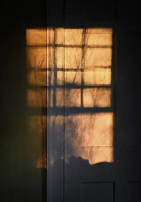 Wall Art featuring the photograph Window Obscura by Steven Nelson