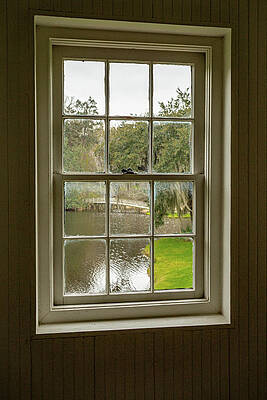 Wall Art featuring the photograph Window To Beauty by Cindy Robinson