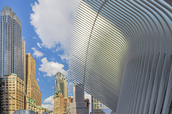 Architecture Wall Art featuring the photograph Wing Of Oculus by Elvira Peretsman