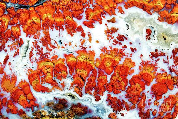 Abstract Photograph - Wingate by Eric Kyle