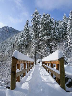 Wall Art featuring the photograph Winter Bridge by Sunniye Buesing