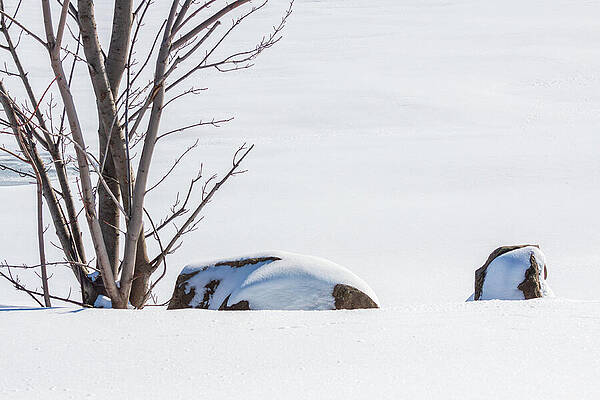 Snow-Covered Rocks by Bare Tree Wall Art
